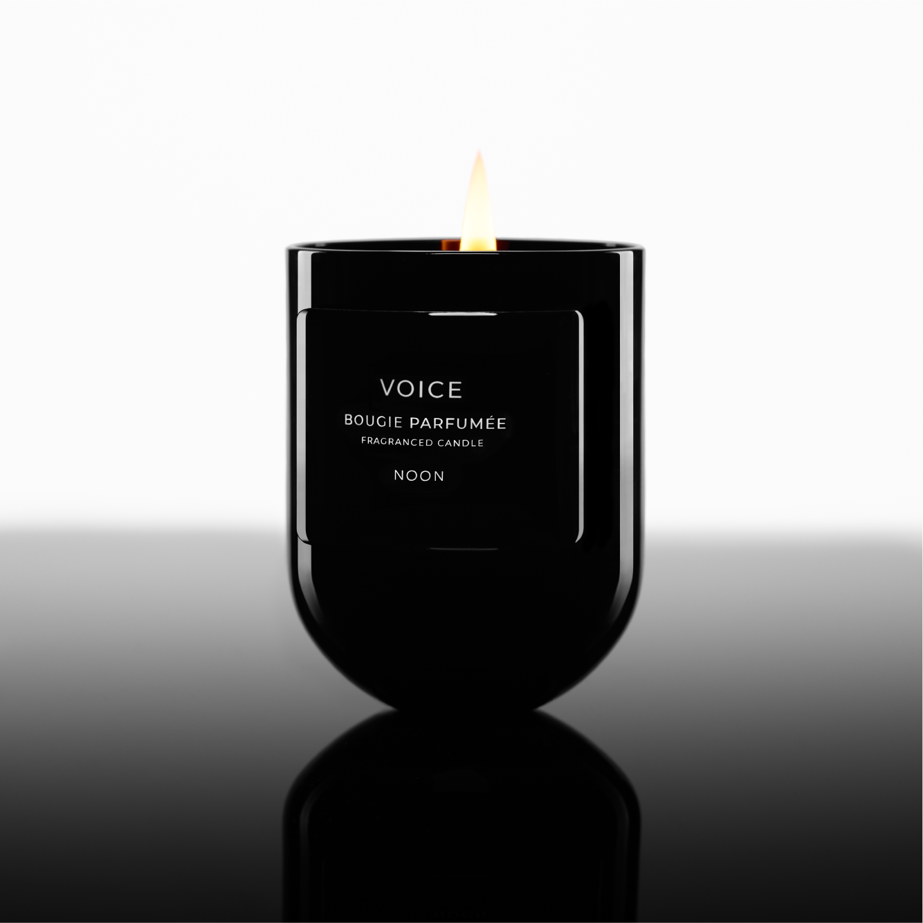 Voice Gift Set